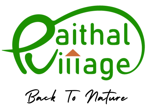 Paithalvillage Logo